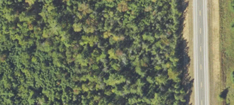 14502 M 65