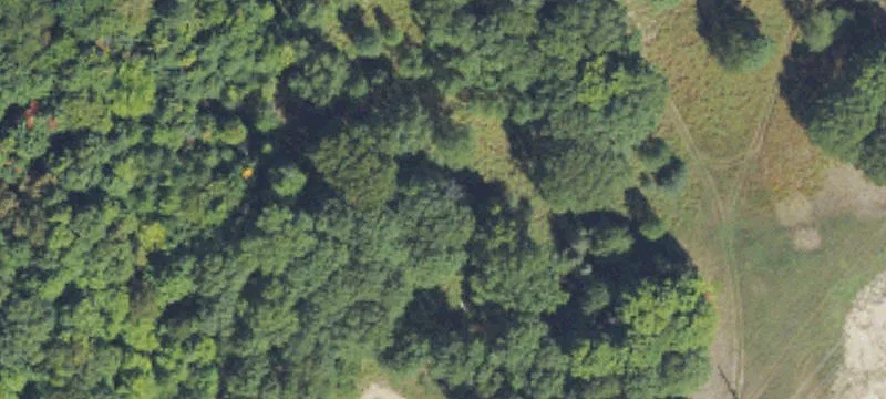 Schell Rd