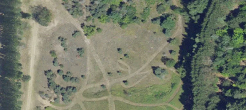 Mancelona, MI 49659