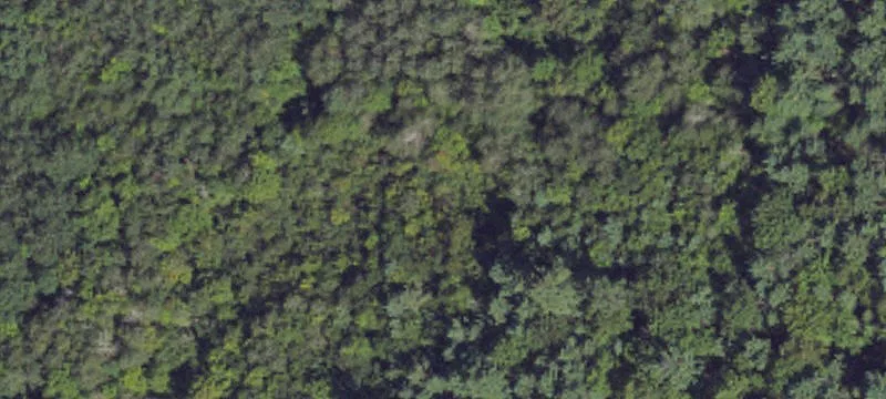 Wilderness Trl