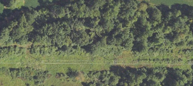 Murrey Rd