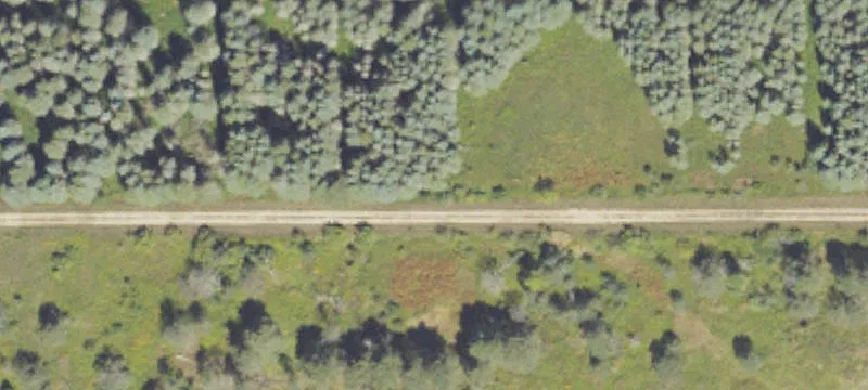 Custer, MI 49405