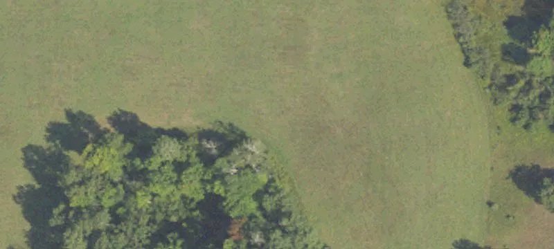 Big Rapids, MI 49307