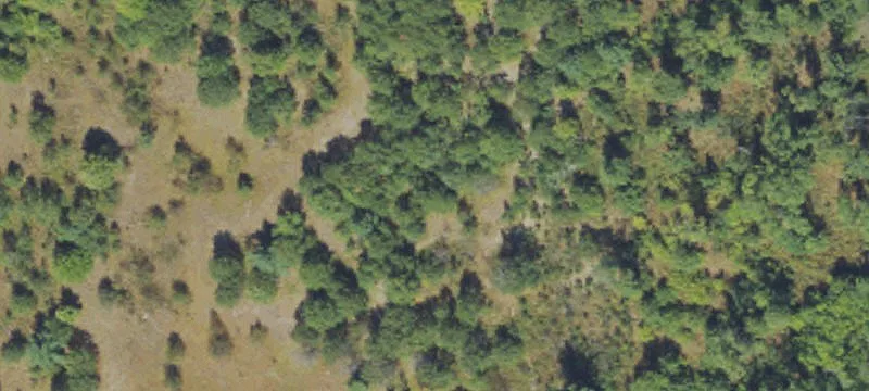 Woods Rd