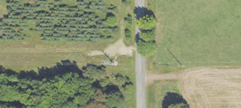Custer, MI 49405