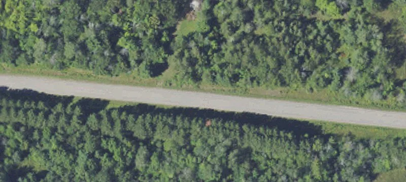 Royce Rd