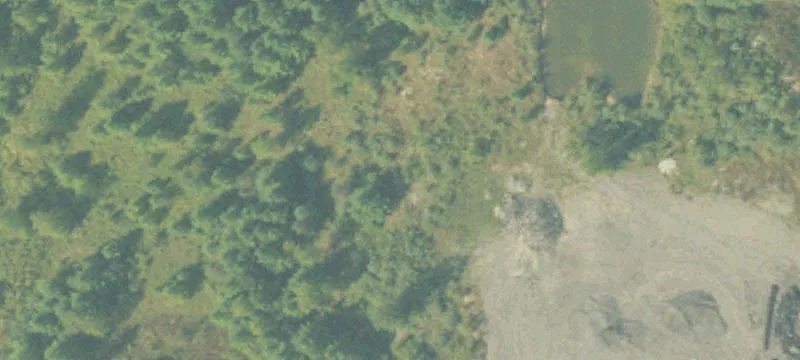 M-55