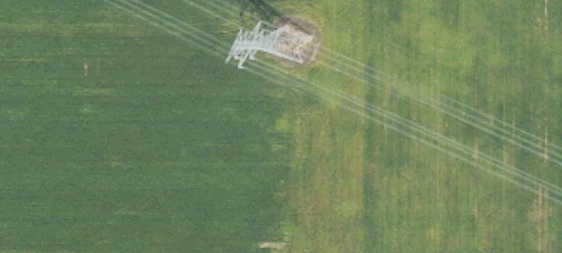 Hesperia, MI 49421