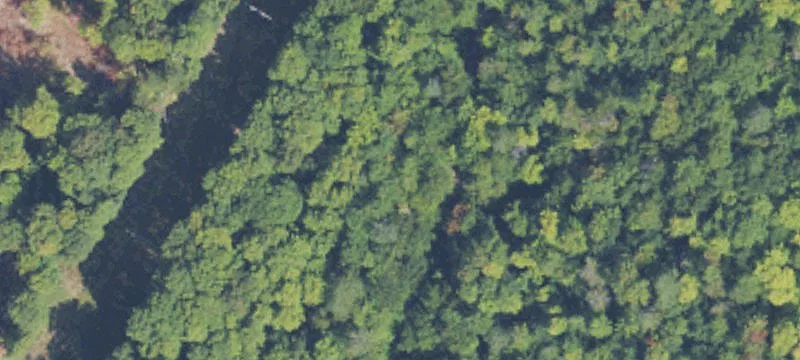 Greenland, MI 49929
