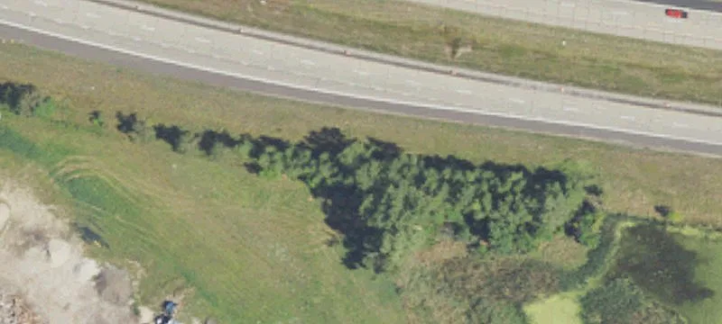 Grand Ledge, MI 48837