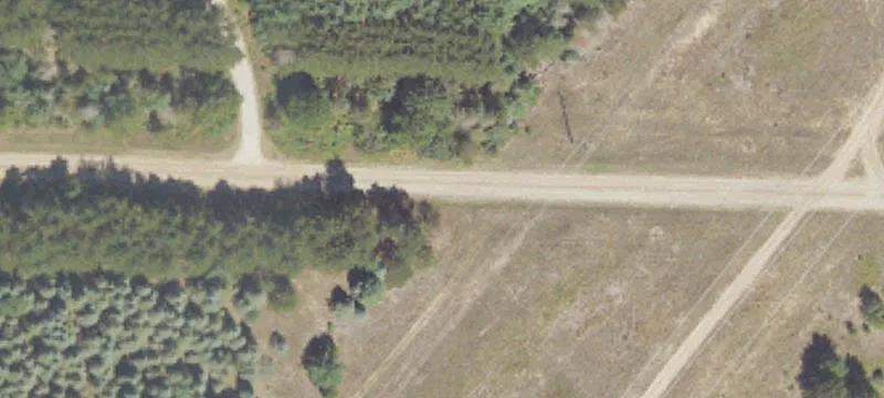 Free Soil, MI 49411