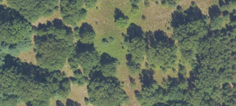 Free Soil, MI 49411