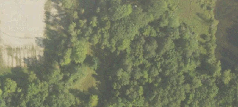 8129 M 20