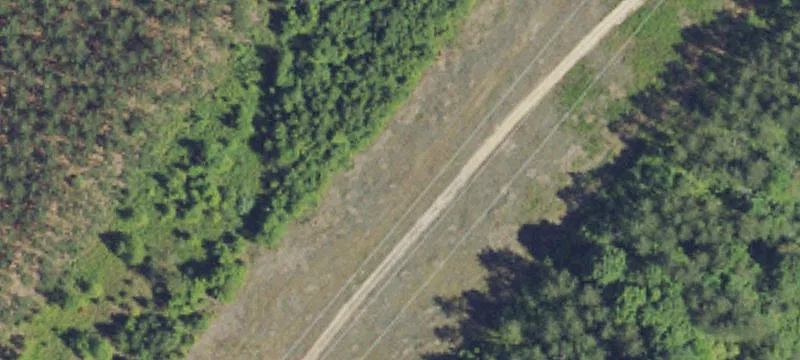 Mancelona, MI 49659