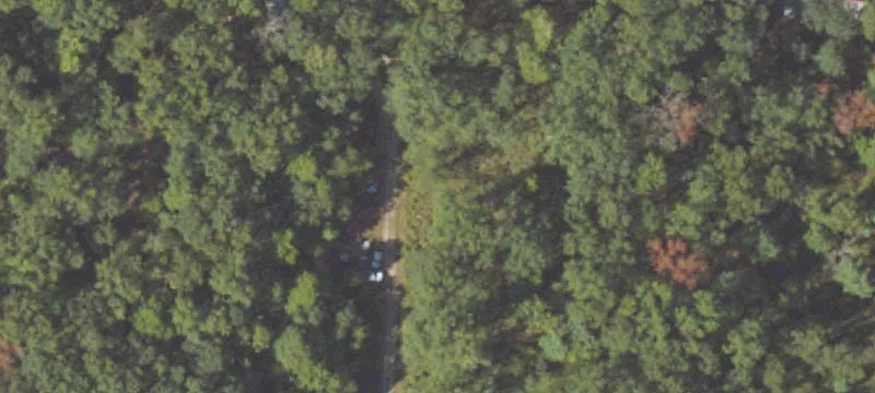 17092 Caberfae Hwy