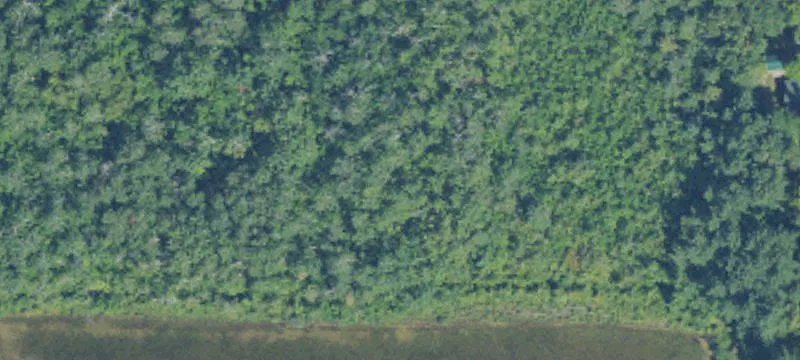 Elk Rapids, MI 49629