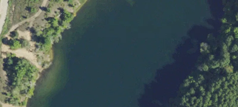Mancelona, MI 49659