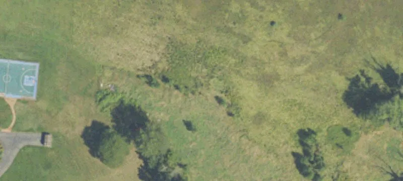8098 Kephart Ln