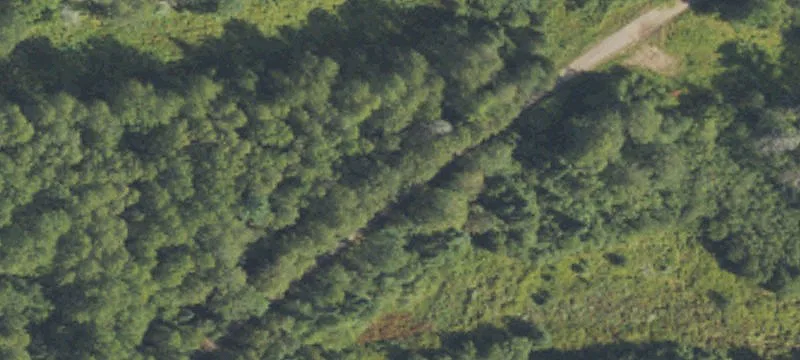 Dnr Pilt Duncan Twp