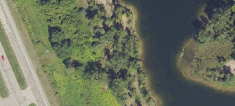 17 Cedarwoods