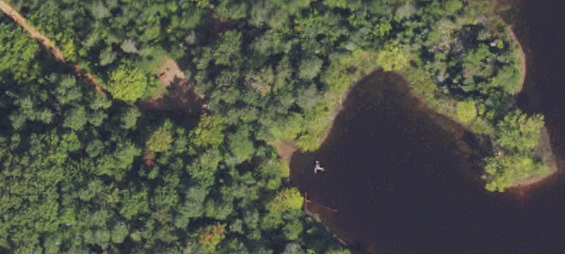Trout Creek, MI 49967