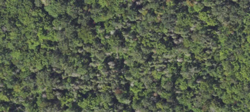 4000 Munuscong Rd