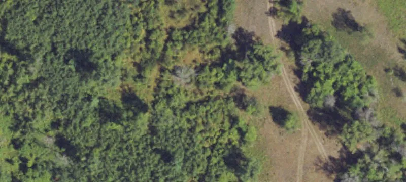 Robinson Lk Rd