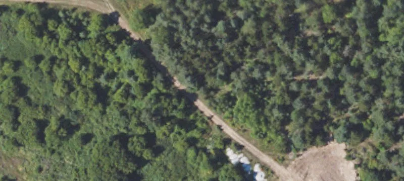 Newberry, MI 49868