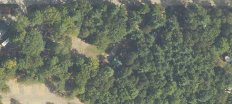 7803 Pheasant Run