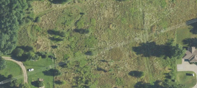 Spg Arbor Rd