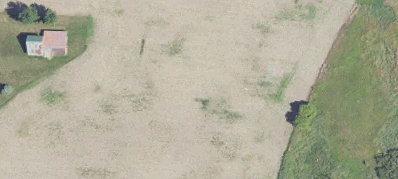 707 Elm St
