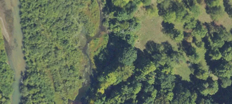 Mesick, MI 49668