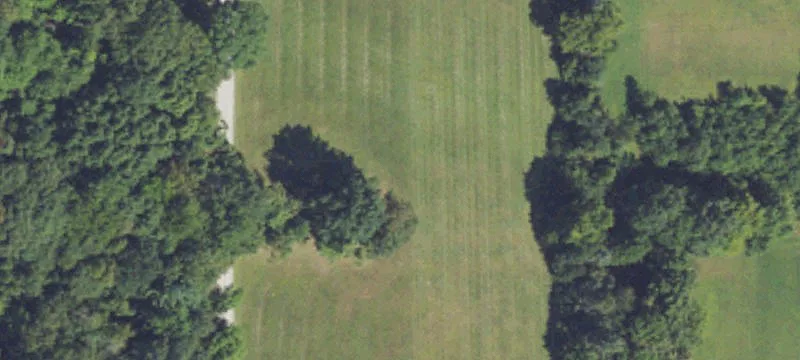 5390 Wilson Rd