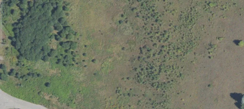 4790 M 66
