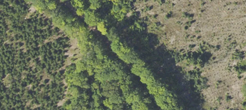 Dnr Pilt Adams Twp