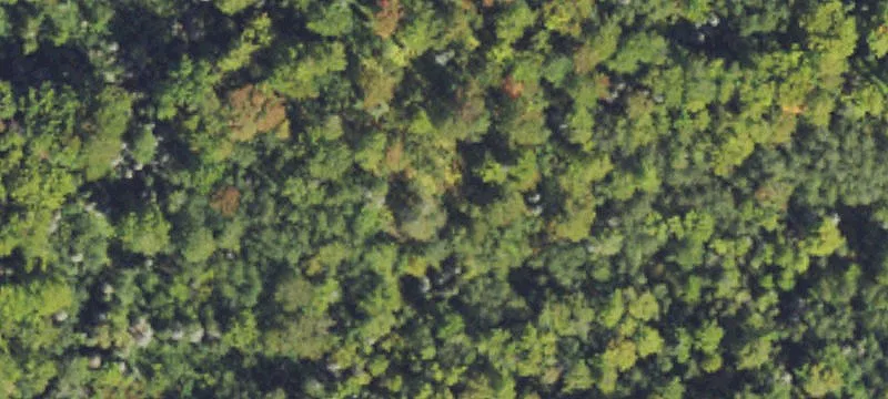 Crystal Falls, MI 49920