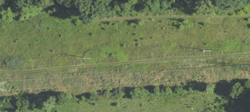 Neff Rd