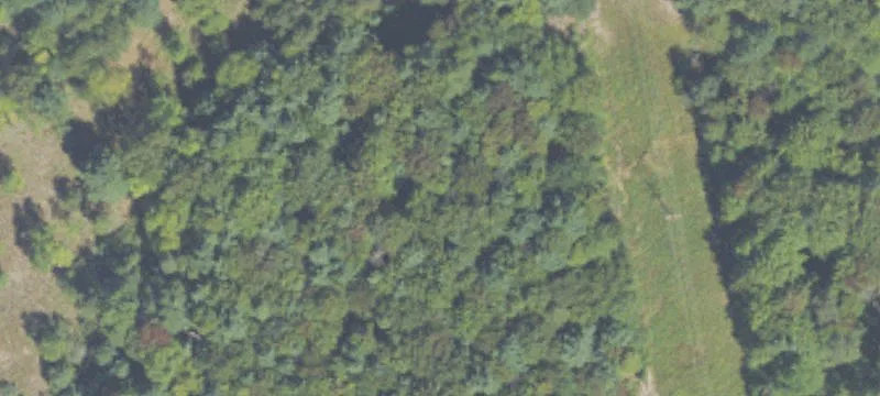 Us 31