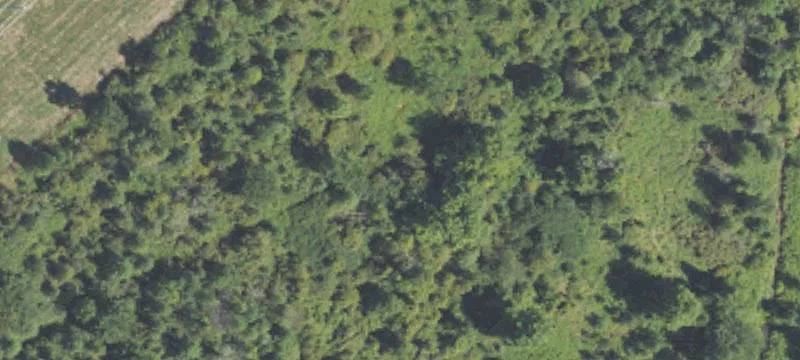 Hydon Hwy