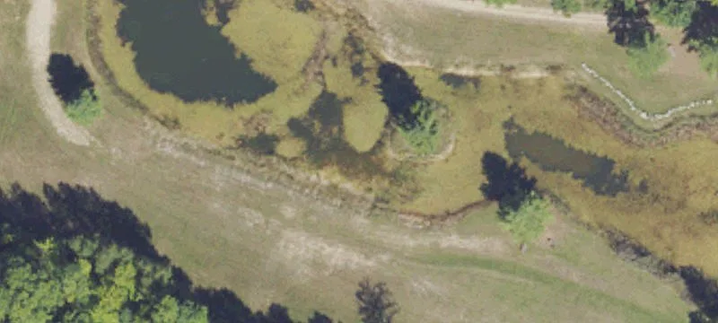 Wellston, MI 49689