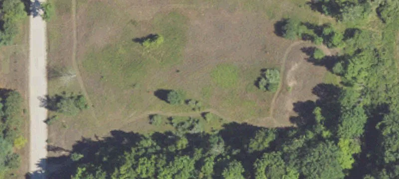 Reed Rd