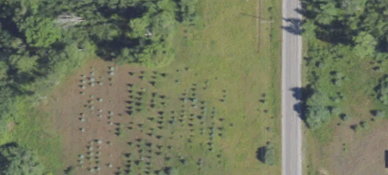 Melita Rd