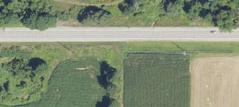 Newaygo, MI 49337
