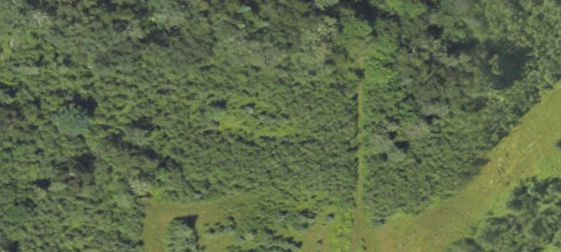 4 Mile Rd