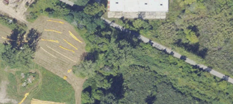Frankfort, MI 49635