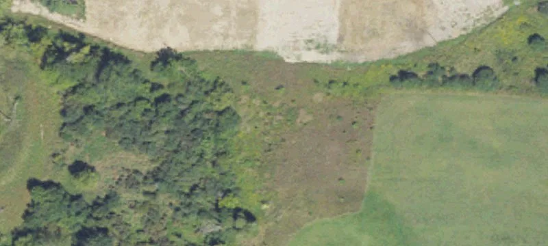 Grand Riv Ave
