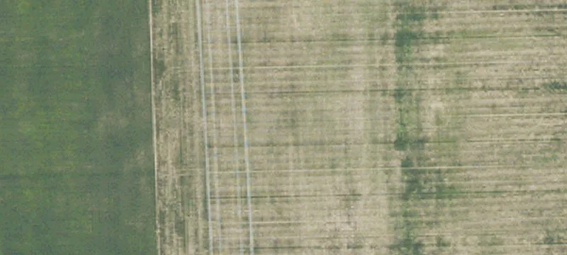 Cryderman Rd