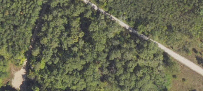 Lupton, MI 48635