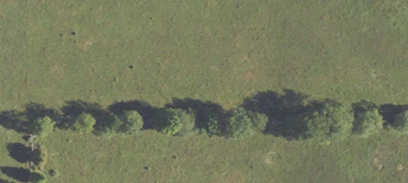 White Cloud, MI 49349
