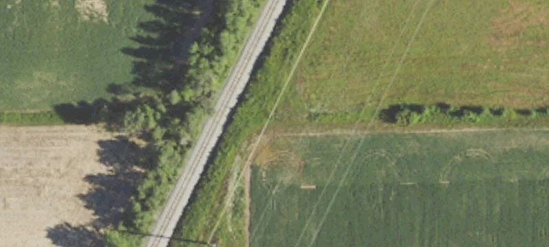 Swartz Rd